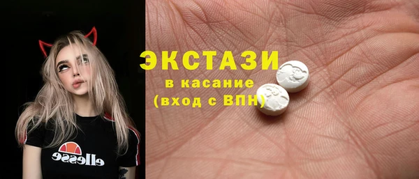СК Алексин