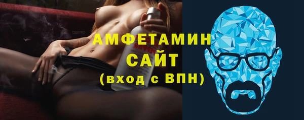 СК Алексин