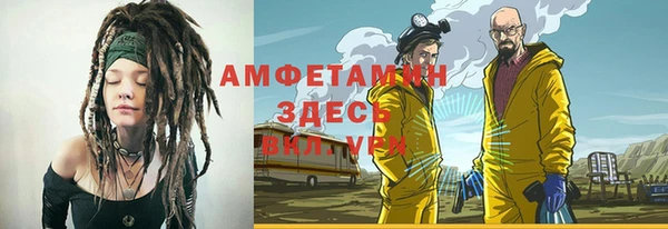 СК Алексин