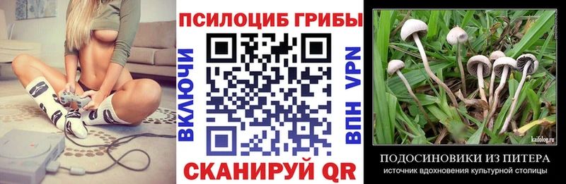 Псилоцибиновые грибы Psilocybine cubensis  Кирс 
